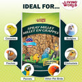 Living World - Millet Spray for Birds, 3.5 Oz – Premium Treat for Budgies, Canaries, Finches, Cockatiels and Other Pet Birds