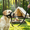 Adjustable Soft Leather Dog Head Collar with Dog Leash, S