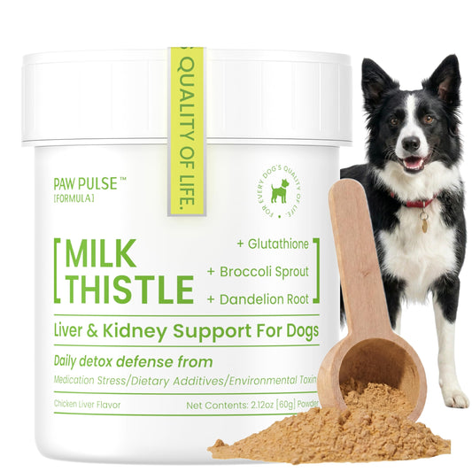 Pawpulse Formula Liver Support for Dogs – Milk Thistle & Silymarin Powder – Daily Detox, Kidney Wellness & Antioxidant Defense, 2.12 oz