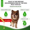 Milk Thistle for Dogs | Dog Liver Supplement for All Ages and Breeds | Here is Only Herbal Composition | + Attractive an