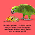 Kaytee Fiesta Parrot Food for Large Birds, 2.5 Pounds