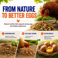 MEILLEURE 5lbs Dried Black Soldier Fly Larvae for Chickens - 100% Natural BSF Larvae More Calcium Than Dried Mealworms - High Protein BSFL Chicken Treats for Laying Hens Ducks Birds