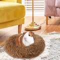 PETKNOWS 2-Pack Winter Guinea Pig Beds Hamster Bed Small Animal Hideout