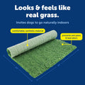 PetSafe Pet Loo Portable Pet Potty Replacement Grass - Medium