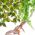 Hamiledyi Reptile Plants for Terrarium Hanging Fake Leaves with Suction Cup