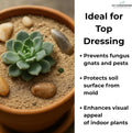 GARDENWISE Fine Sand for Plants – Horticultural Sand for Succulents, Cactus, Potting Mixes, Terrariums & Decorative Indo