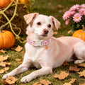 LIONET PAWS Fall Dog Collar for Small Medium Large Girl Dog-Pink Pumpkin M