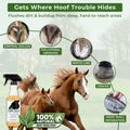 Pure Sole Hoof Cleanse Thrush Treatment Spray for Horses, 16 oz