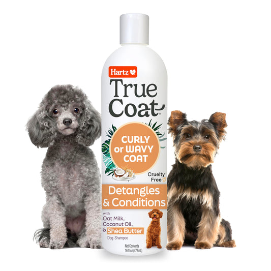 True Coat Curly or Wavy Dog Shampoo, 5 in 1 Detangles & Conditions with Oat Milk, Coconut Oil & Shea Butter, 16 oz