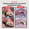 JAYU PET Dental Gel Dog Cat Toothpaste, 2.8 Ounce