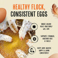 Roosty's Gold Dust Daily Egg Booster - Golden Yolks and Stronger Shells - All Natural Omega-3 Rich - US Made Chicken Supplement - Chicken Health Supplies