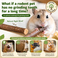 Sukh Natural Organic Apple Sticks - 250g Chew Sticks for Small Animals