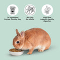 Kaytee Rabbit Food, Timothy Complete Rabbit Food Pellets, 9.5 Pounds