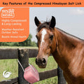 Pack of 4 Compressed 7-8 Lbs Himalayan Salt Licks for Horse Deer