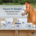 SmartEquine Smart & Simple Vitamin E Pellets, 3.7 lb, 112 Servings