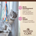 Wellness CORE Tiny Tasters Minced Kitten Wet Cat Food, Natural, Protein Rich, Grain Free, Chicken Recipe, 1.75 oz, Pack of 12 Pouches