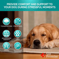 Advanced Calming Chews for Dogs - Hemp Dog Calming Chews with Melatonin