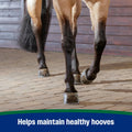 Farnam Horseshoer's Secret Pelleted Hoof & Biotin Supplements, Nutrient-Rich Formula with Amino & Fatty Acids, Omega-3 M