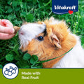Vitakraft Bursts Small Animal Treat Wildberry Flavor 1.76 oz - Crispy Outside with Soft Berry Center - Fun Reward Snacks