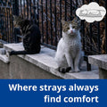 Outdoor Cat Heating Pad, 15.7" x 11.8", 30W, Grey