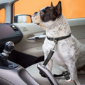 Dog Seat Belt for Cars, Adjustable Heavy Duty Dog Car Seat Belt with Shock Absorbing Bungee, Universal Seat Belt Clip fo
