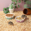 VanEnjoy 2 Pack Hamster Food Bowl Small Ceramic Water Food Bowl for Cage Small Animal Bowls for Hamster Guinea Pig Chinc