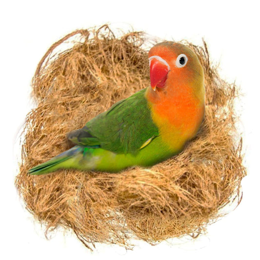 SunGrow Finch Coconut Fiber, Loose Bedding Substrate for Birds Nest Cages, Nesting Material for Budgie Hummingbird Canary Parakeet, 1.5 oz