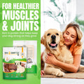 Dog Treats - Pig Ears, Natural Chews for Pups (10 Pack, Pig Ears)