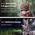Pet Tracker Collar for Cats, Smart Collar for Small Dogs with Locator