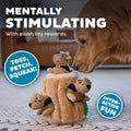 Outward Hound Hide-A-Squirrel Puzzle Toy