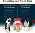 Antinol Plus, Mobility, Hip, and Joint Supplement for Cats, Green-Lipped Mussels and Krill Oil - Cat Joint Supplement, 30 Soft Gels