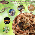 ZeeDix 6 OZ Long Fiber Sphagnum Moss for Reptiles, 8 QT Terrarium Moss