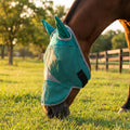 Horse Fly Mask with Ears - UV Protection, Breathable Mesh, Soft Edging for Comfort, Adjustable Fit for Horses & Ponies -