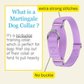 Country Brook Petz - Martingale Dog Collar - Heavy-Duty Training Collar with No Buckle - Service Dog Collar for All Pups - 20 Vibrant Colors (Lavender, 1 Inch, Medium)
