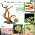 Large Aquarium Driftwood on Base 8.5-11.5 Inch Spider Wood for Reptile Tank