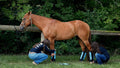 Warrior Fly Boots for Horses - Breathable Mesh Horse Boots for Fly Protection & Leg Comfort - Set of 4 (Trojan Warrior, 
