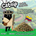 LIT LABS Catnip Joint - 5 Organic Pre-Rolls Papers to Fix a Bad Cattitude - Funny Cat Toy for Indoor Cats with Existential Dread