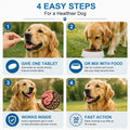 Dewormer for Dogs, Oral Treatment of Tapeworm, Roundworm & Hookworm in Medium and Large Dogs (Over 25 lbs). Worm Remover