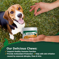 Vet's Best Flea & Tick Soft Chews for Dogs – Natural Supplement for Dog Flea and Tick Prevention – Veterinarian-Formulat