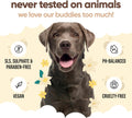 Buddycare Vanilla & Shea Butter Dog Shampoo - (16.90oz) Itch Relief & Dog Shampoo Sensitive Skin Care, Dog Shampoo and C
