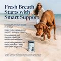 Veterinary Formula Smart Vitality Dental Support Dog Soft Chews, 60 Count