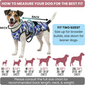 LUCOLOVE Dog Cooling Vest - 2-Layer Cooling with Soft Microfiber Fabric - Lightweight, Adjustable and Comfortable - UV Protection for Small to Large Dogs - Relief in Hot Weather (Pink, Large)