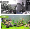 Tfwadmx Natural Driftwood for Aquarium, 6-8" 4 Pcs Wood Aquarium Decorations Fish Tank Log Reptile Tree Branches, Assort