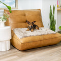 Furhaven Waterproof Throw Blanket for Dogs & Indoor Cats, Washable - Shaggy Plush Calming Long Faux Fur & Velvet Dog Bla