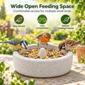 Pumice Stone Bird Feeder Bowl, 2-in-1 Food Water Dish