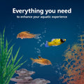 Aqueon Aquarium Starter Kit with Smart Clean Filtration and LED Lighting, Freshwater and Saltwater Fish, Perfect for Tet