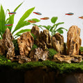 Natural Porous Dragon Stone 1lb Fish Tank Landscaping Stones