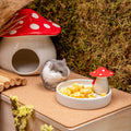 Niteangel Hamster Snack Treat Toy: Freeze-Dried Pumpkin & No Additive