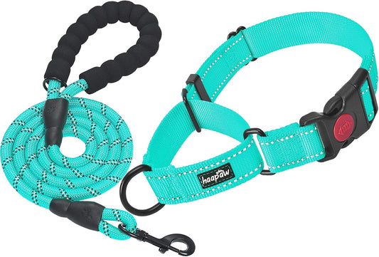 Haapaw Escape-Proof Martingale Dog Collar