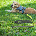 15" Heavy Duty Dog Tie Out Stake, 360° Swivel Anchor, Black